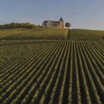 Champagne Region from Paris: Reims and Champagne Tasting - Why This Tour Offers Great Value