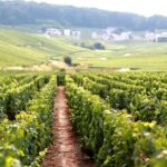 Champagne VIP Day Trip from Paris With Local PRIVATE Wine Expert Guide - Why This Tour Works for Travelers
