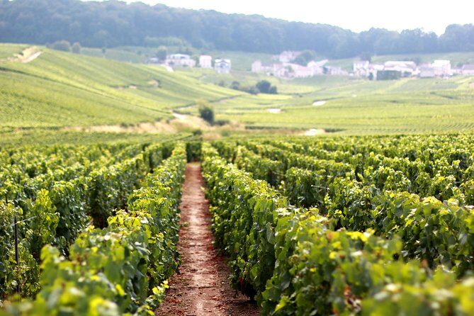 Champagne VIP Day Trip from Paris With Local PRIVATE Wine Expert Guide - Why This Tour Works for Travelers