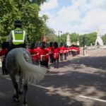 Changing of the Guard & Royal Food Tour with 10+ Tastings - Why This Tour Works Well