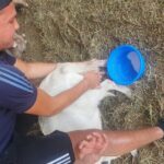 Chania Area: Cooking Class at a Farm in Stylos Village (organic) - An In-Depth Look at the Farm Tour Experience