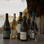 Chania: Discover Cretan grape varieties by the sea - Final Thoughts: Who Should Book This?