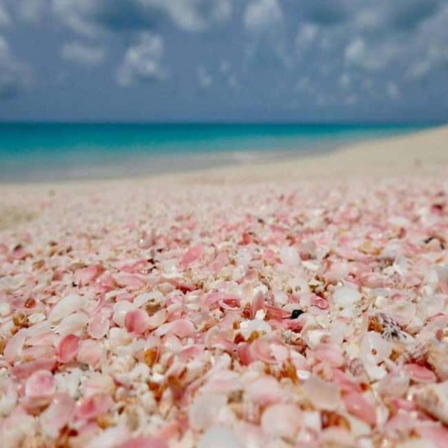 Chania: Elafonissi Express Day TourDirect Route, No Delays - What Is Included and What’s Not