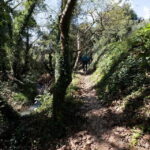 Chania: Electric Mountain Bike Tour - What Makes This Tour Stand Out?