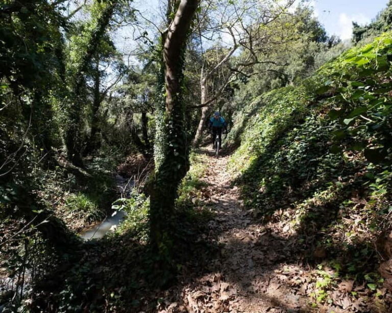 Chania: Electric Mountain Bike Tour - What Makes This Tour Stand Out?