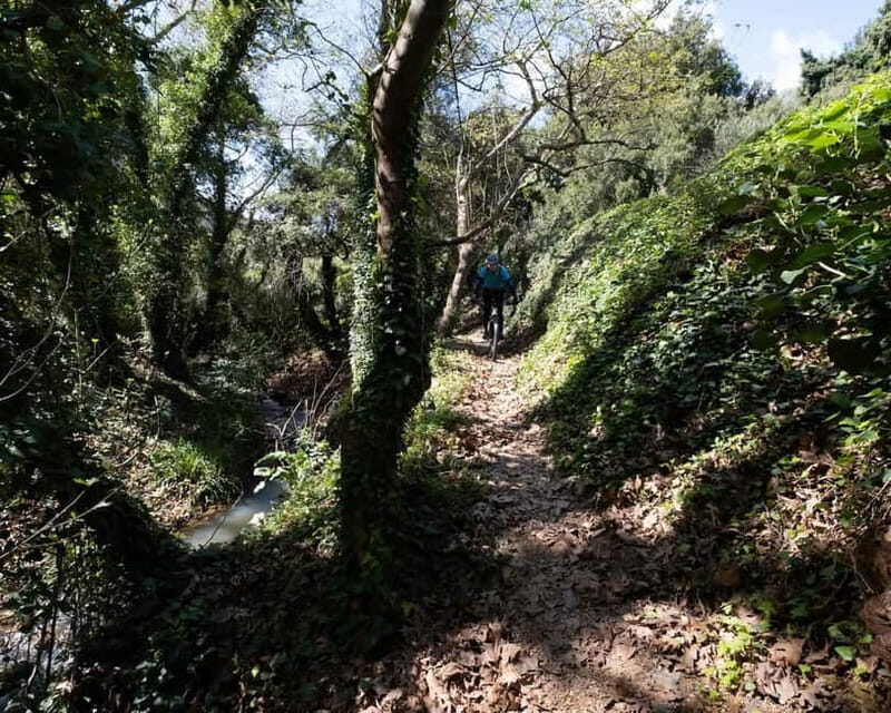 Chania: Electric Mountain Bike Tour - What Makes This Tour Stand Out?