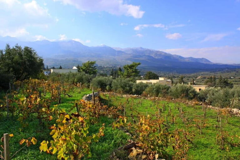 Chania: Full-Day Vineyard & Winery Private Tour w/ Tastings - Final Thoughts: Who Will Appreciate This Tour?