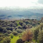 Chania Nature & Villages, White Mountains & Unique Cretan Lunch - Exploring the White Mountains and Beyond