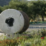 Chania: Pure Cretan Olive Oil, Wine, & Beer Experience - Exploring Crete’s Flavors: A Detailed Look