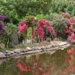 Chania Safari & Botanical Garden  Nature & Aromas Tour - The Itinerary Breakdown