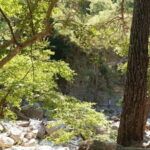 Chania: Samaria Gorge Private Transfer - Who Is This Tour Best Suited For?