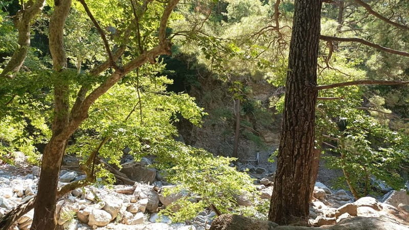 Chania: Samaria Gorge Private Transfer - Who Is This Tour Best Suited For?