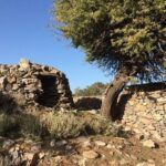 Chania Shore Excursion to the White Mountains - Authentic Experiences and Special Touches