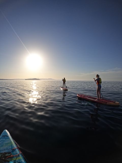 Chania: Stand-up Paddleboard Coastal Sunset Experience - Authentic Insights from Reviewers