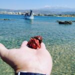 Chania Town: Glass-Bottom Boat Cruise to Thodorou & Lazareta - What We Love About This Tour