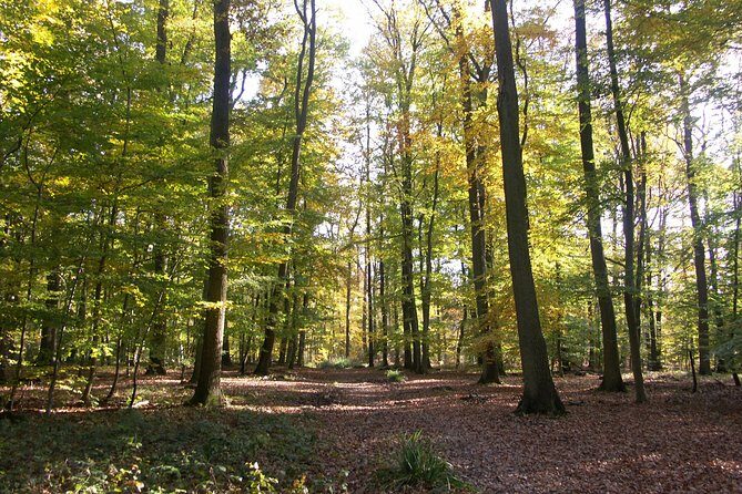 Chantilly by bike or Chantilly with electric bike - Is It Worth the Price?