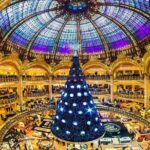 Charles De Gaule Airport Private Transfer - Deep Dive into the Experience