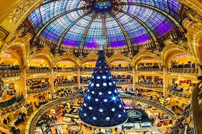 Charles De Gaule Airport Private Transfer - Deep Dive into the Experience