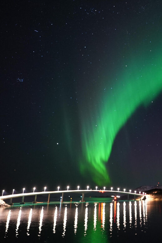 Chase the Magic of the Northern Lights in Tromsø Norway - Authentic Experiences from Past Travelers
