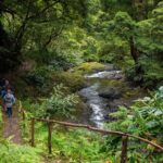Chasing Waterfalls in the Azores - The Authentic Experience: What Travelers Say