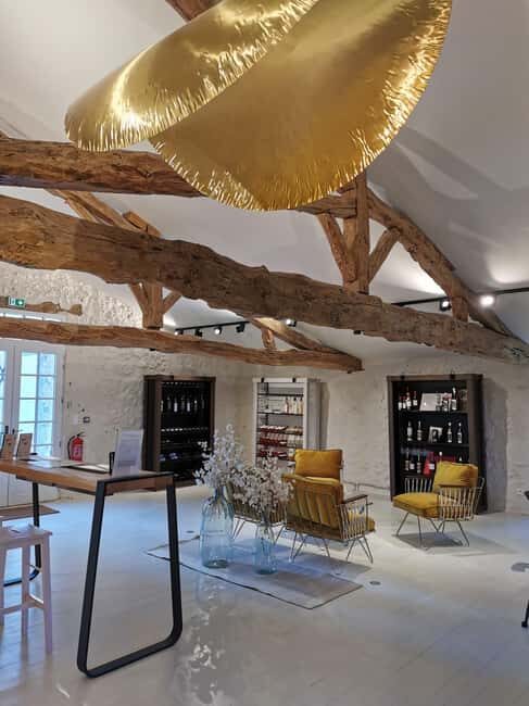 Château Arton : The Secrets of Haut-Armagnac Experience - The Guided Tour of the Vineyards