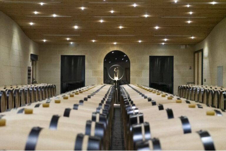 Château Balestard La Tonnelle : The "Origins" tour - Who should consider this tour?