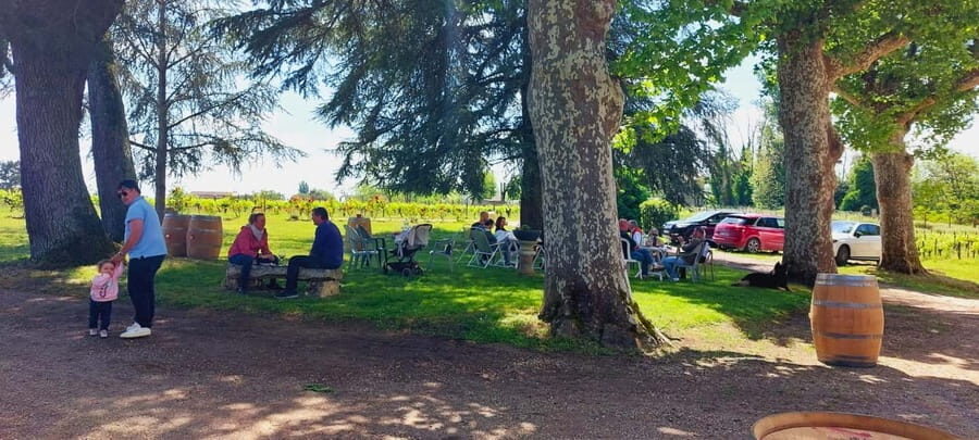 Château Cantelaube: tour and tasting at an unusual wine estate - Who Is This Tour Best For?