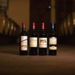 Château Champion: Picnic at the winemaker's - Who Will Love This Experience?