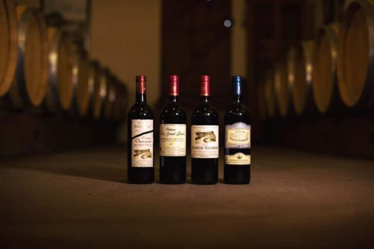 Château Champion: Picnic at the winemaker's - Who Will Love This Experience?