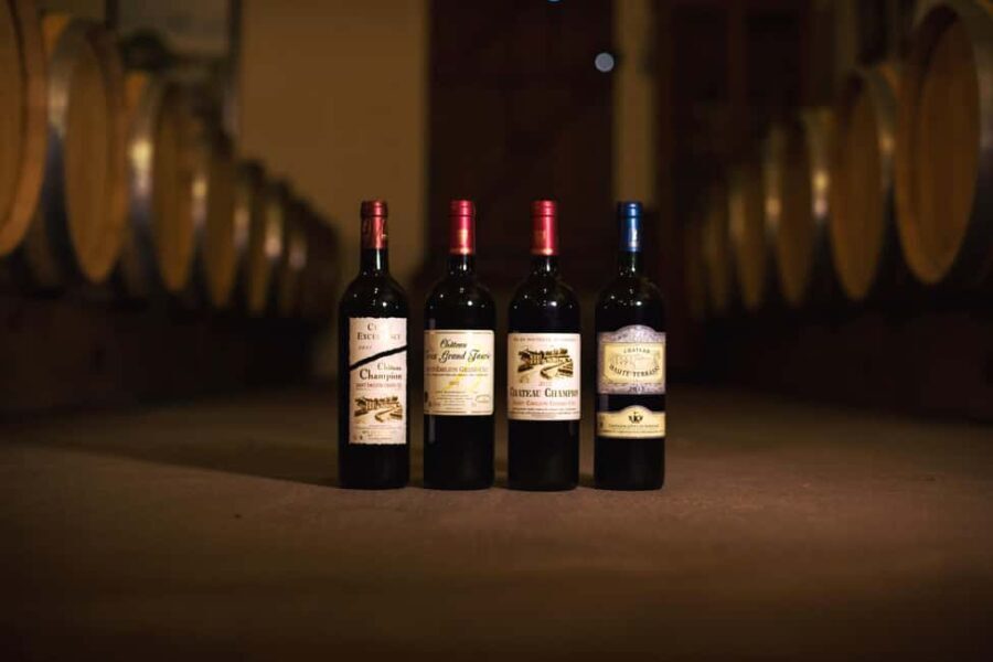 Château Champion: Picnic at the winemaker's - Who Will Love This Experience?