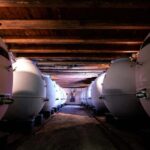 Château de Terride: tour of the wine cellar & wine tasting - A Closer Look at the Château de Terride Experience