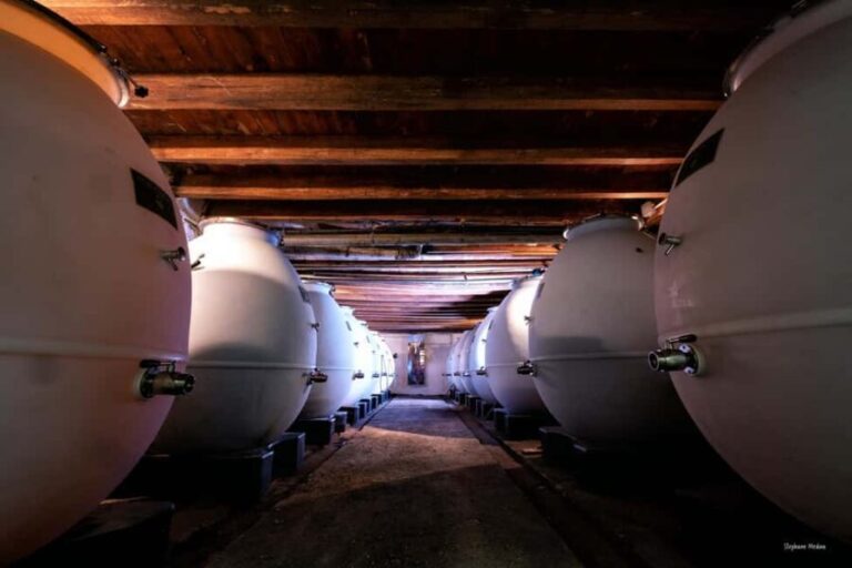 Château de Terride: tour of the wine cellar & wine tasting - A Closer Look at the Château de Terride Experience