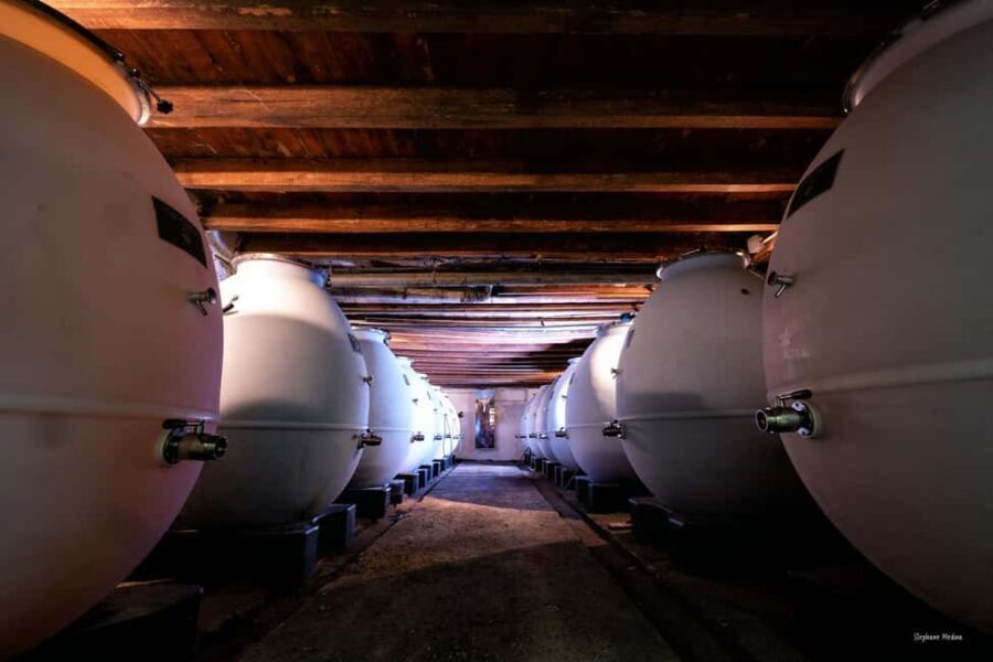 Château de Terride: tour of the wine cellar & wine tasting - A Closer Look at the Château de Terride Experience