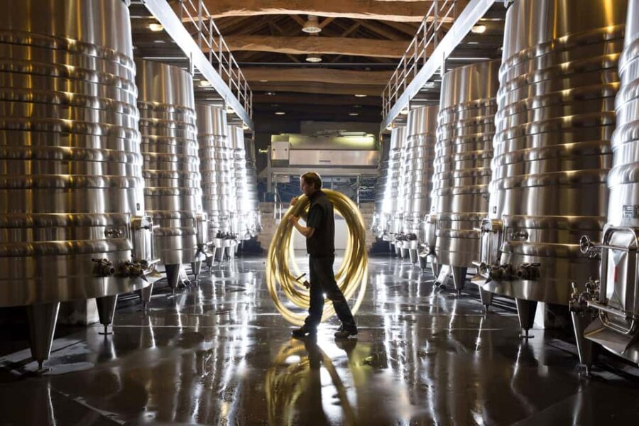 Château Olivier: One Hour Vineyard Tour with Wine Tasting - Deep Dive into the Details