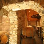 Château Villemagne: Tour of the cellar and tasting of our wines. - Final Thoughts
