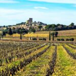Châteauneuf Du Pape intensive vineyard & fine wine experience - The Tastings: What You’ll Experience