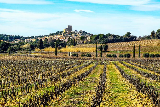 Châteauneuf Du Pape intensive vineyard & fine wine experience - The Tastings: What You’ll Experience