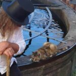 Check out the Heart of Alsace in Riquewihr - Who is this tour best suited for?