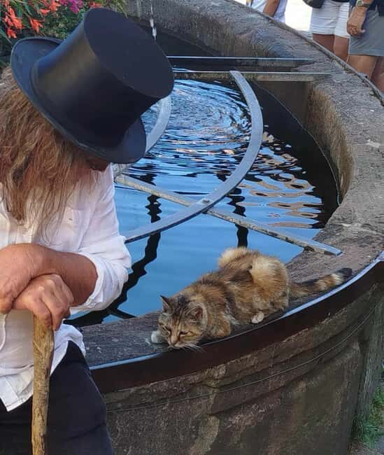 Check out the Heart of Alsace in Riquewihr - Who is this tour best suited for?