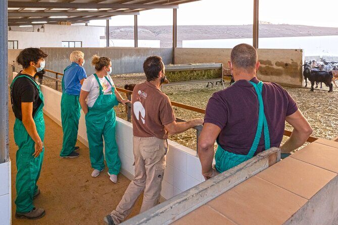 Cheese Making Workshop in Fuerteventura with Breakfast - Frequently Asked Questions