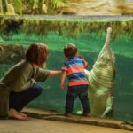 Chester: Chester Zoo Entry Ticket - Who Will Love Chester Zoo?