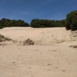 Chia Beaches Tour from Cagliari with van - The Practicalities: What You Need to Know