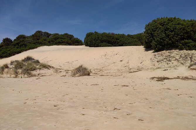 Chia Beaches Tour from Cagliari with van - The Practicalities: What You Need to Know