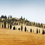 Chianti and Castle Small Group Tour from Siena with Wine Tasting - Practical Details & Considerations