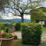 Chianti Half Day Wine Tour from Florence - The Exclusive Winery: Casale dello Sparviero