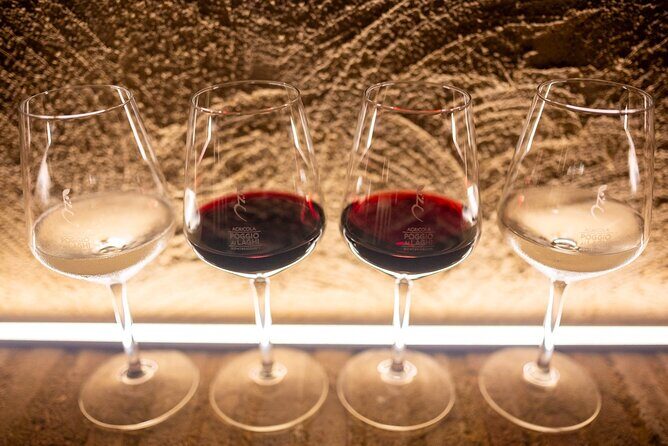 Chianti: Lunch with Wine Tasting at Poggio ai Laghi Winery - The Authenticity and Personal Touch