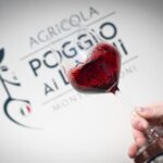 Chianti: Premium Wine, Olive Oil and Vinegar Tasting - Why It’s a Wise Choice