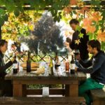 Chianti Rufina: Organic and biodynamic winery tour with tasting - Practical Details & Why They Matter