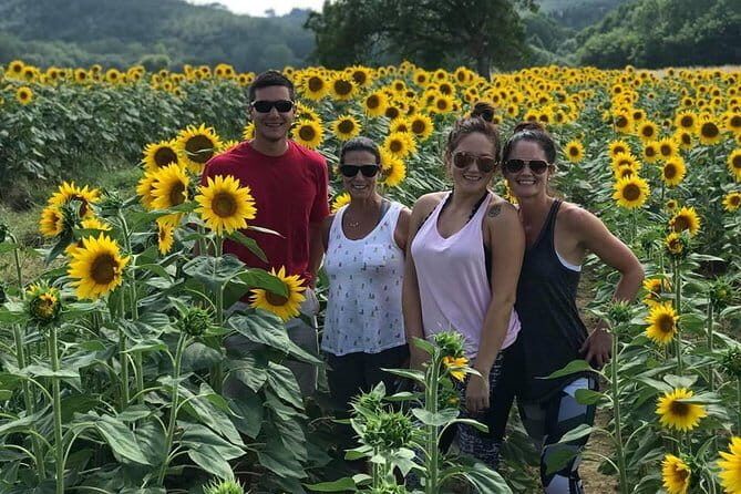 Chianti Wineries Tour with Tuscan Lunch and San Gimignano - The Full Breakdown of the Tour Experience