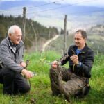 Chianti Winery Tour with Wine & Food Tasting near Florence - The Itinerary in Detail